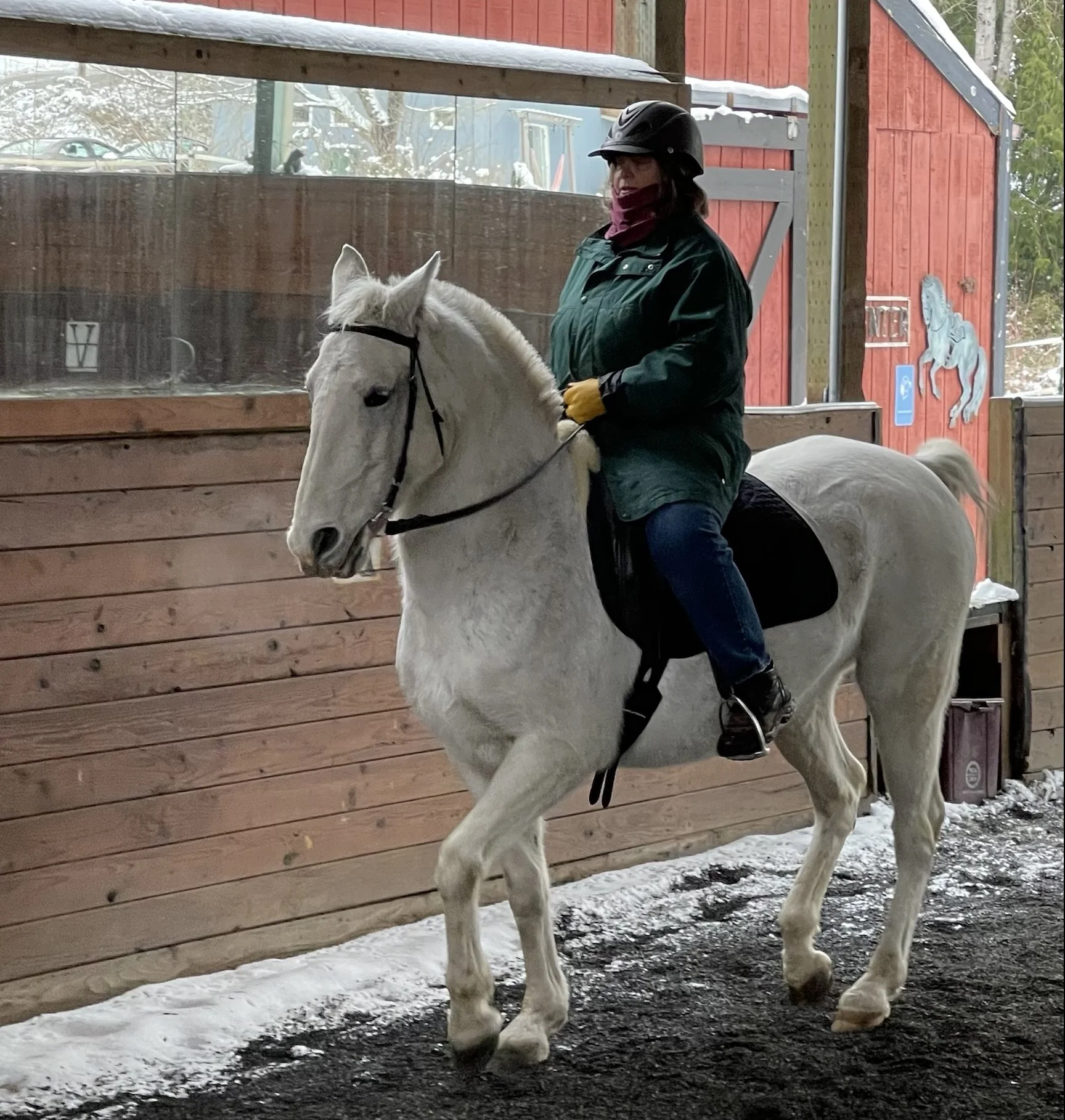 About Mary Anne Campbell — Classical Equitation With Mary Anne